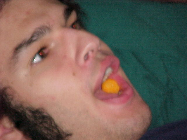 adam1.jpg