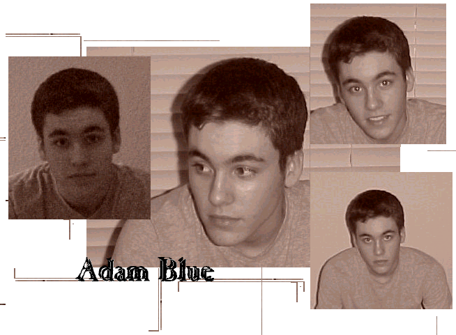 adam1.jpg